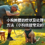 小狗换腰的症状及处理方法(小狗换腰常见的症状及如何帮助他们)(图4) 小狗换腰的症状及处理方法(小狗换腰常见的症状及如何帮助他们)(图4)