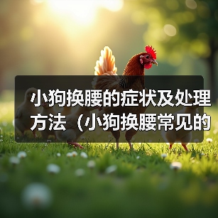 小狗换腰的症状及处理方法(小狗换腰常见的症状及如何帮助他们)(图3) 小狗换腰的症状及处理方法(小狗换腰常见的症状及如何帮助他们)(图3)