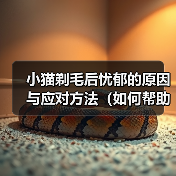 小猫剃毛后忧郁的原因与应对方法（如何帮助小猫克服剃毛后的忧郁情绪）(图3)