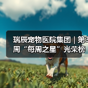 瑞辰宠物医院集团 | 第3周“每周之星”光荣榜(图2)