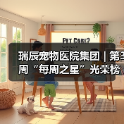 瑞辰宠物医院集团 | 第3周“每周之星”光荣榜(图1)