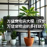 万盛宠物店大观(探索万盛宠物店的多样魅力)(图2) 万盛宠物店大观(探索万盛宠物店的多样魅力)(图2)