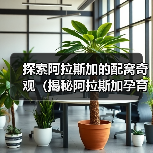 探索阿拉斯加的配窝奇观(揭秘阿拉斯加孕育新生命的神秘过程)(图4) 探索阿拉斯加的配窝奇观(揭秘阿拉斯加孕育新生命的神秘过程)(图4)
