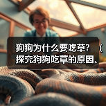 狗狗为什么要吃草？（探究狗狗吃草的原因、类型以及影响）(图3)