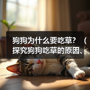狗狗为什么要吃草？（探究狗狗吃草的原因、类型以及影响）(图1)