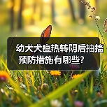 幼犬犬瘟热转阴后抽搐预防措施有哪些？(图3)