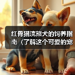 红骨猎浣熊犬的饲养指南（了解这个可爱的宠物的生活习惯和需求，让你成为一个负责任的主人）(图4)