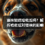 猫咪能吃哈密瓜吗？解析哈密瓜对猫咪的影响（宠物主人必看，了解猫咪饮食常识）(图2)