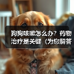 狗狗咳嗽怎么办？药物治疗是关键（为您解答狗狗咳嗽严重时如何选择合适的药物）(图4)