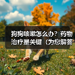 狗狗咳嗽怎么办？药物治疗是关键（为您解答狗狗咳嗽严重时如何选择合适的药物）(图3)