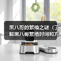 黑八哥的繁殖之谜（了解黑八哥繁殖时间和方式）