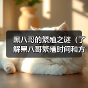 黑八哥的繁殖之谜（了解黑八哥繁殖时间和方式）(图3)