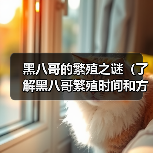 黑八哥的繁殖之谜（了解黑八哥繁殖时间和方式）(图2)