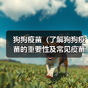 狗狗疫苗（了解狗狗疫苗的重要性及常见疫苗种类）(图2)