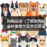 狗狗疫苗（了解狗狗疫苗的重要性及常见疫苗种类）(图3)