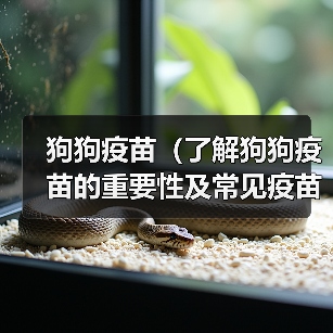 狗狗疫苗（了解狗狗疫苗的重要性及常见疫苗种类）