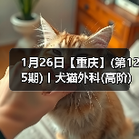 1月26日【重庆】(第125期)丨犬猫外科(高阶)班！含SUB(人人可实操)、乳糜胸等技术！(图3)