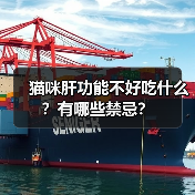 猫咪肝功能不好吃什么？有哪些禁忌？