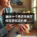 猫咪十个月还在换牙，你需要知道的是……（了解猫咪的换牙期，保护它们的口腔健康）(图1)