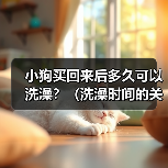 小狗买回来后多久可以洗澡?(洗澡时间的关键是宝宝的年龄和健康状况)(图4) 小狗买回来后多久可以洗澡?(洗澡时间的关键是宝宝的年龄和健康状况)(图4)
