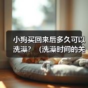 小狗买回来后多久可以洗澡?(洗澡时间的关键是宝宝的年龄和健康状况)(图2) 小狗买回来后多久可以洗澡?(洗澡时间的关键是宝宝的年龄和健康状况)(图2)