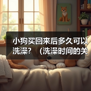 小狗买回来后多久可以洗澡？（洗澡时间的关