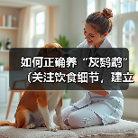 如何正确养“灰鹦鹉”(关注饮食细节,建立良好的生活环境,培养亲密关系)(图3) 如何正确养“灰鹦鹉”(关注饮食细节,建立良好的生活环境,培养亲密关系)(图3)