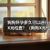 狗狗怀孕多久可以进行X光检查?(狗狗X光检查的安全性及适合时机分析)(图2) 狗狗怀孕多久可以进行X光检查?(狗狗X光检查的安全性及适合时机分析)(图2)