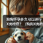 狗狗怀孕多久可以进行X光检查?(狗狗X光检查的安全性及适合时机分析)(图4) 狗狗怀孕多久可以进行X光检查?(狗狗X光检查的安全性及适合时机分析)(图4)