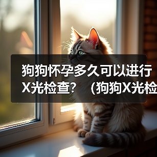 狗狗怀孕多久可以进行X光检查?(狗狗X光检查的安全性及适合时机分析)(图3) 狗狗怀孕多久可以进行X光检查?(狗狗X光检查的安全性及适合时机分析)(图3)