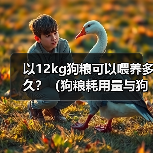 以12kg狗粮可以喂养多久？（狗粮耗用量
