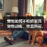 宠物如何不咬抓家具（宠物训练、物品购买、家具维护）(图4)