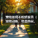宠物如何不咬抓家具（宠物训练、物品购买、家具维护）(图3)