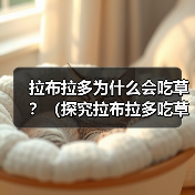 拉布拉多为什么会吃草?(探究拉布拉多吃草的原因和如何正确处理)(图1) 拉布拉多为什么会吃草?(探究拉布拉多吃草的原因和如何正确处理)(图1)
