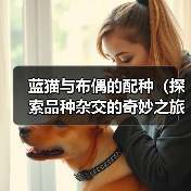蓝猫与布偶的配种(探索品种杂交的奇妙之旅)(图1) 蓝猫与布偶的配种(探索品种杂交的奇妙之旅)(图1)