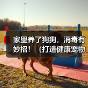 家里养了狗狗，消毒有妙招！（打造健康宠物