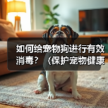 如何给宠物狗进行有效消毒？（保护宠物健康，从正确消毒开始）(图3)