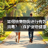 如何给宠物狗进行有效消毒？（保护宠物健康