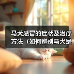 马犬感冒的症状及治疗方法(如何辨别马犬是否感冒?有效的治疗方法分享)(图4) 马犬感冒的症状及治疗方法(如何辨别马犬是否感冒?有效的治疗方法分享)(图4)