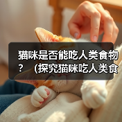 猫咪是否能吃人类食物？（探究猫咪吃人类食物的反应）(图1)