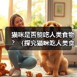 猫咪是否能吃人类食物？（探究猫咪吃人类食物的反应）(图2)