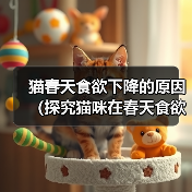 猫春天食欲下降的原因（探究猫咪在春天食欲下降的可能原因及应对措施）(图2)