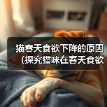 猫春天食欲下降的原因（探究猫咪在春天食欲下降的可能原因及应对措施）(图3)