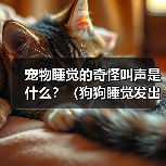 宠物睡觉的奇怪叫声是什么？（狗狗睡觉发出
