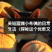 英短蓝猫小布偶的日常生活（探秘这个优雅又可爱的蓝色小猫咪的生活点滴）(图2)