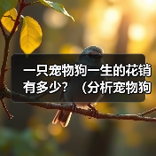 一只宠物狗一生的花销有多少？（分析宠物狗