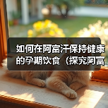 如何在阿富汗保持健康的孕期饮食（探究阿富