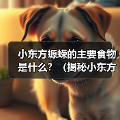 小东方螈蝾的主要食物是什么？（揭秘小东方螈蝾的饮食习性）(图2)