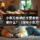 小东方螈蝾的主要食物是什么？（揭秘小东方螈蝾的饮食习性）