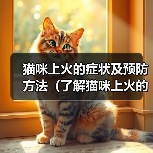 猫咪上火的症状及预防方法(了解猫咪上火的迹象,保护它们的健康)(图3) 猫咪上火的症状及预防方法(了解猫咪上火的迹象,保护它们的健康)(图3)